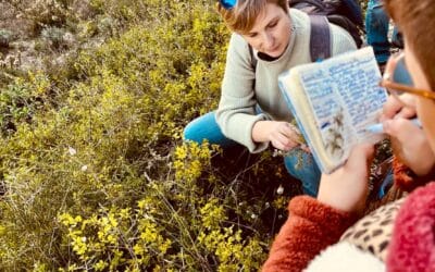 Les plantes sorcières de nos collines